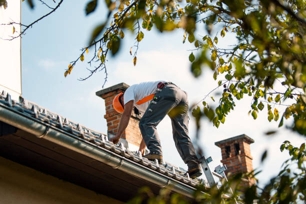 Best Metal Roofing Contractor  in Pascagoula, MS