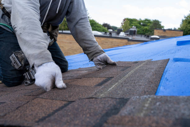 Best Commercial Roofing Services  in Pascagoula, MS