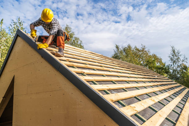Best Roof Leak Repair  in Pascagoula, MS