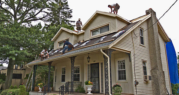 Best Flat Roof Repair Services  in Pascagoula, MS