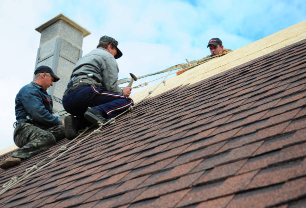 Best Storm Damage Roof Repair  in Pascagoula, MS